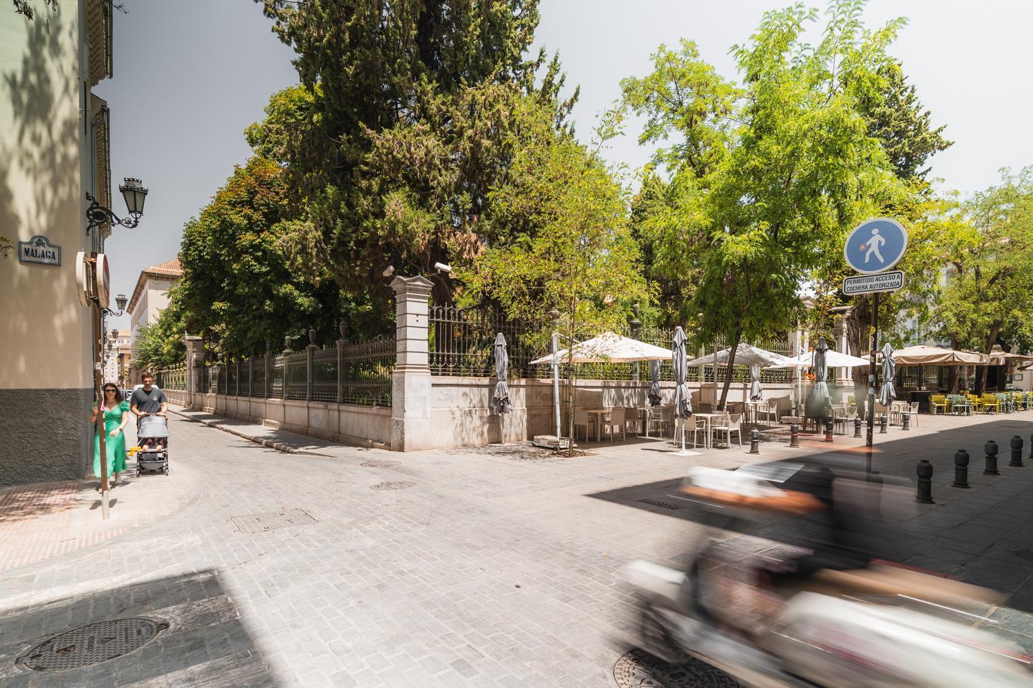 Tuguest Jardin Botanico Con Parking Appartamento