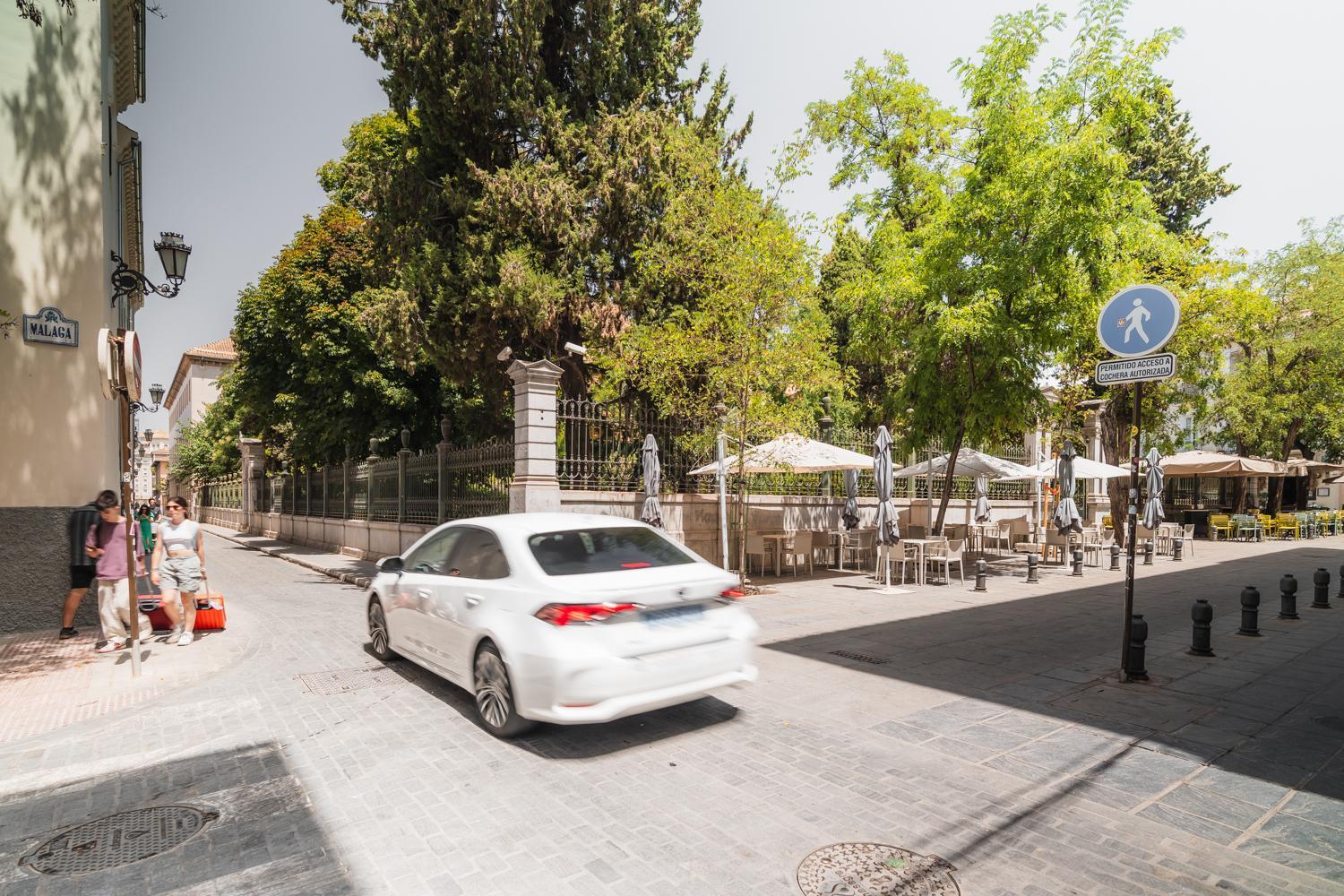 Apartamento Tuguest Jardin Botanico Con Parking